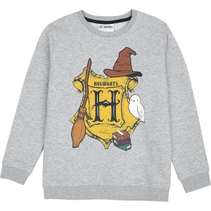 Harry Potter Kids - Hogwarts detská mikina šedá - Merchstore.cz