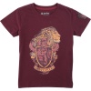 Harry Potter Kids - Gryffindor detské tricko tmavě červená - Merchstore.cz