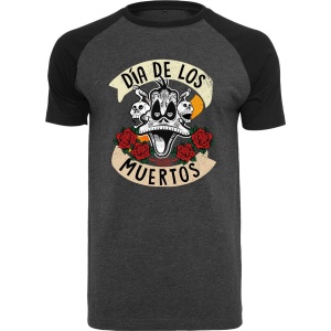 Looney Tunes Duffy Duck - Dia De Los Muertos Tričko šedá/cerná - Merchstore.cz