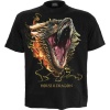 Game Of Thrones House of the Dragon - 2 - Drogon Tričko černá - Merchstore.cz