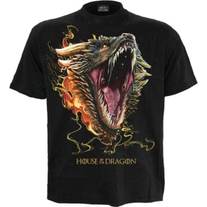 Game Of Thrones House of the Dragon - 2 - Drogon Tričko černá - Merchstore.cz