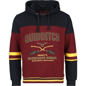 Harry Potter Gryffindor - Hogwarts School Mikina s kapucí vícebarevný - Merchstore.cz