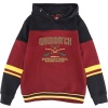 Harry Potter Kids - Gryffindor - Hogwarts School detská mikina s kapucí vícebarevný - Merchstore.cz