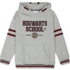 Harry Potter Kids - Hogwarts School detská mikina s kapucí vícebarevný - Merchstore.cz