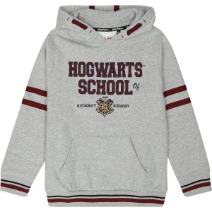 Harry Potter Kids - Hogwarts School detská mikina s kapucí vícebarevný - Merchstore.cz