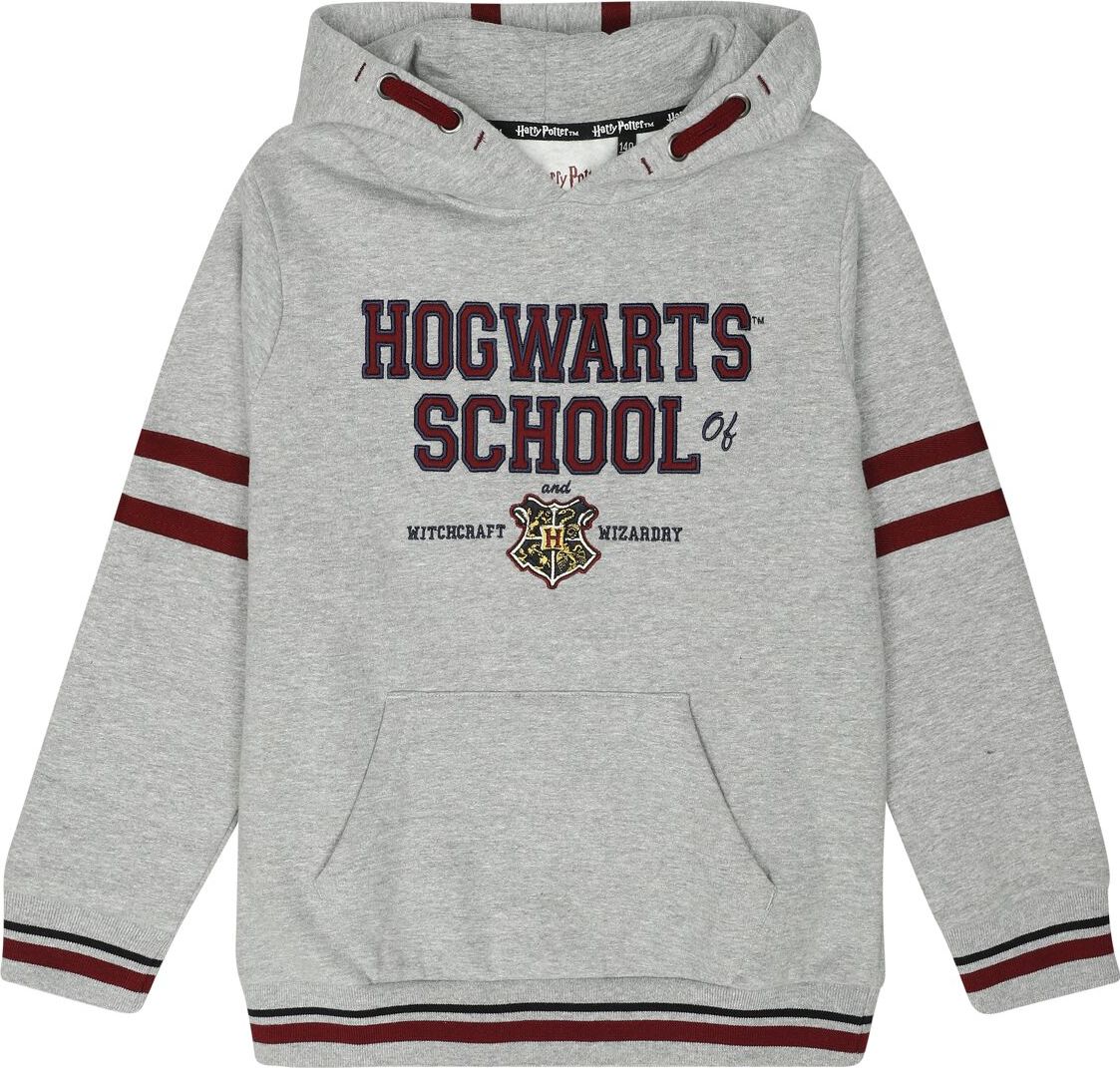 Harry Potter Kids - Hogwarts School detská mikina s kapucí vícebarevný - Merchstore.cz