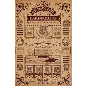 Harry Potter Quidditch at Hogwarts plakát vícebarevný - Merchstore.cz