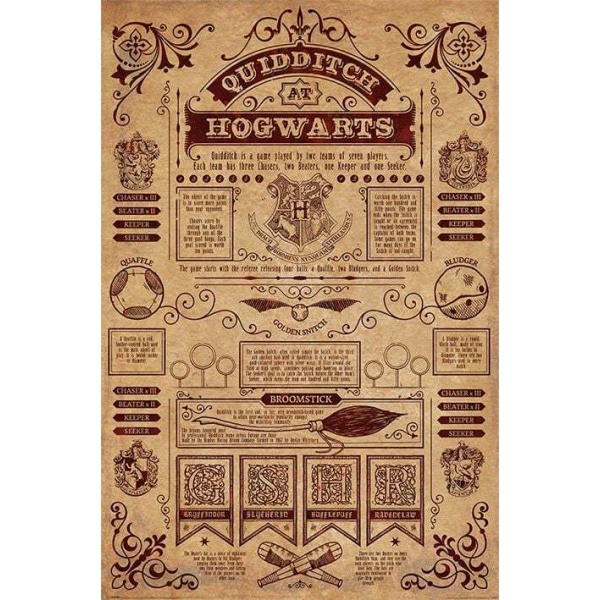 Harry Potter Quidditch at Hogwarts plakát vícebarevný - Merchstore.cz