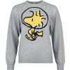 Peanuts Woodstock Dámnský svetr prošedivelá - Merchstore.cz