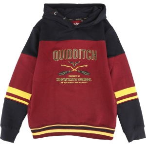 Harry Potter Kids - Gryffindor - Hogwarts School detská mikina s kapucí vícebarevný - Merchstore.cz