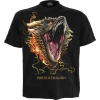 Game Of Thrones House of the Dragon - 2 - Drogon Tričko černá - Merchstore.cz