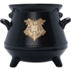 Harry Potter Cauldron 3D Hrnek vícebarevný - Merchstore.cz