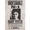 Harry Potter Undesirable No.1 plakát vícebarevný - Merchstore.cz