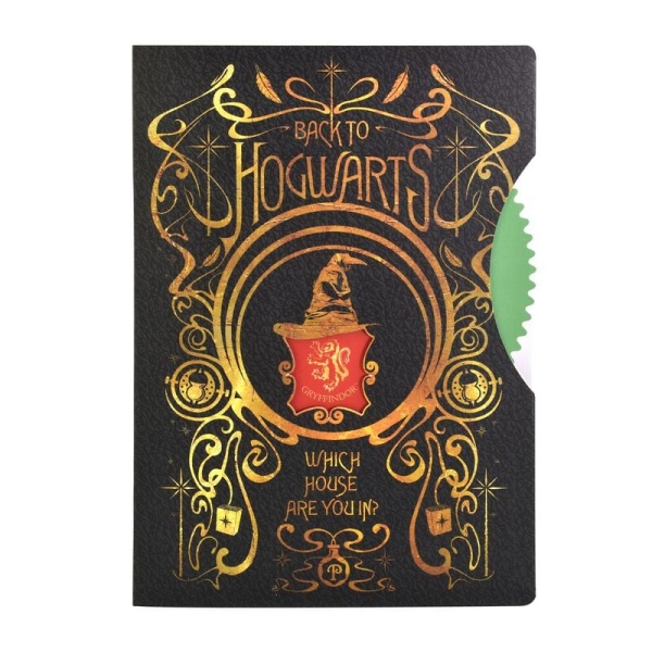 Harry Potter Back To Hogwarts Notes vícebarevný - Merchstore.cz