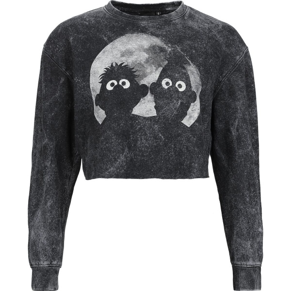Sesame Street Ernie und Bert - Moon Light Dámská mikina šedá - Merchstore.cz