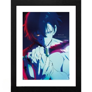 Solo Leveling Jinwoo Zarámovaný obraz barevný - Merchstore.cz