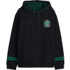 Harry Potter Slytherin - House Crest Mikina s kapucí černá - Merchstore.cz