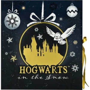 Harry Potter Harry Potter Adventní kalendář vícebarevný - Merchstore.cz