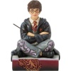 Harry Potter The Chosen One - Harry Potter Sberatelská postava vícebarevný - Merchstore.cz