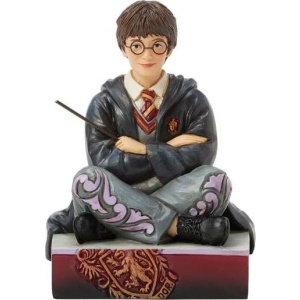 Harry Potter The Chosen One - Harry Potter Sberatelská postava vícebarevný - Merchstore.cz