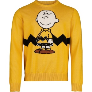 Peanuts Charlie Brown Pletený svetr vícebarevný - Merchstore.cz