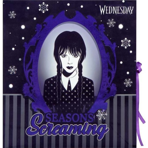 Wednesday Wednesday Adventní kalendář vícebarevný - Merchstore.cz