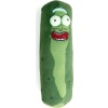 Rick And Morty Pickle Rick dekorace polštár vícebarevný - Merchstore.cz