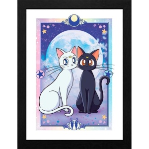 Sailor Moon Luna & Artemis Zarámovaný obraz barevný - Merchstore.cz