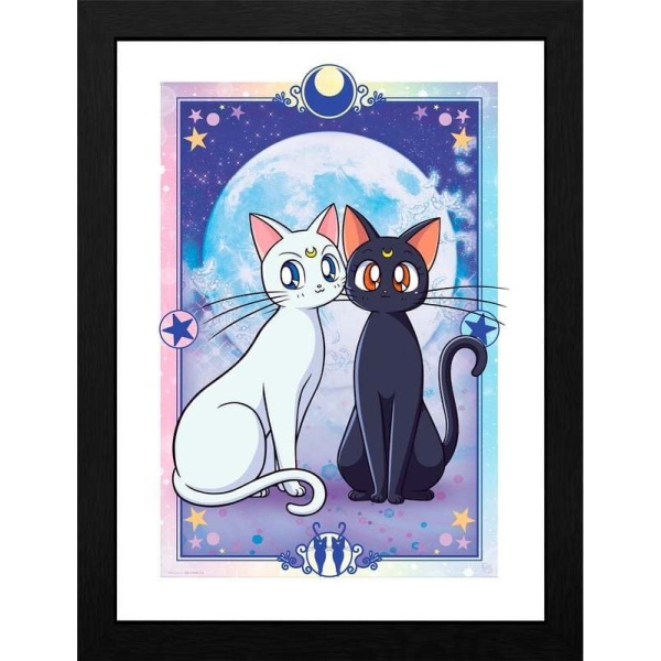 Sailor Moon Luna & Artemis Zarámovaný obraz barevný - Merchstore.cz
