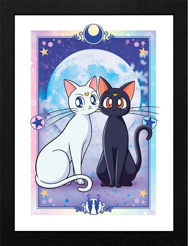 Sailor Moon Luna & Artemis Zarámovaný obraz barevný - Merchstore.cz