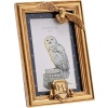 Harry Potter Hedwig dekorace zlatá - Merchstore.cz