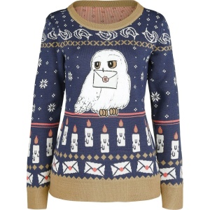 Harry Potter Hedwig Pletený svetr vícebarevný