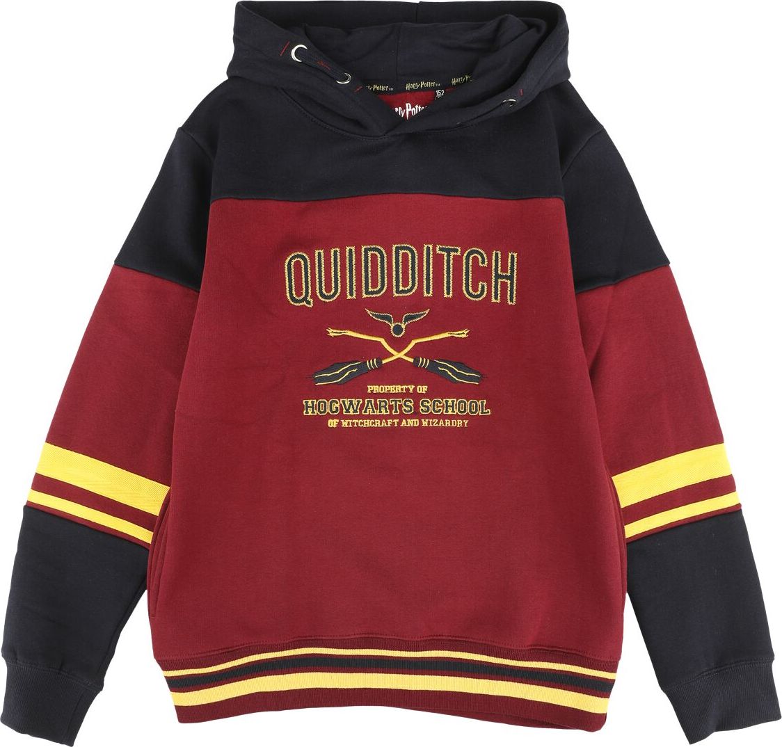 Harry Potter Kids - Gryffindor - Hogwarts School detská mikina s kapucí vícebarevný - Merchstore.cz Harry Potter Kids - Gryffindor - Hogwarts School detská mikina s kapucí vícebarevný - Merchstore.cz