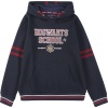 Harry Potter Kids - Hogwarts School detská mikina s kapucí vícebarevný - Merchstore.cz