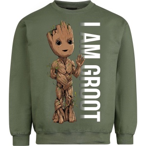Strážci galaxie I Am Groot Mikina zelená