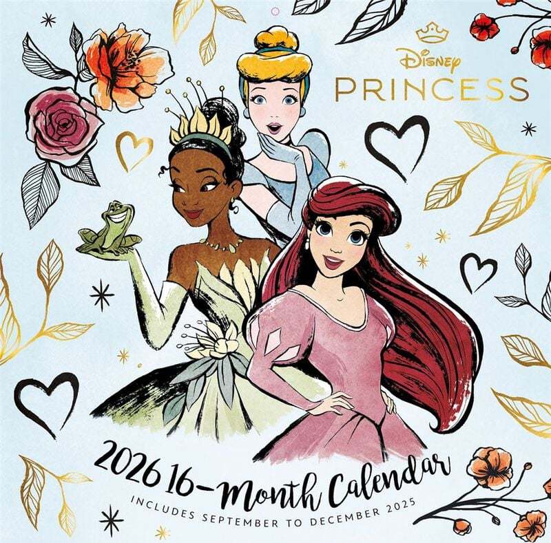 Disney Nástěnný kalendář Disney Princess 2026 Nástenný kalendář vícebarevný - Merchstore.cz