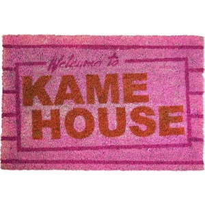 Dragon Ball Kame House Rohožka vícebarevný - Merchstore.cz