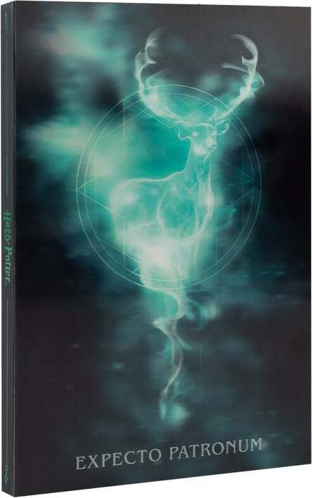 Harry Potter Patronus Notes vícebarevný - Merchstore.cz
