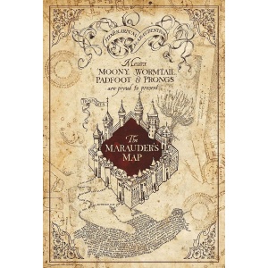 Harry Potter Marauder's Map plakát vícebarevný